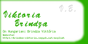 viktoria brindza business card